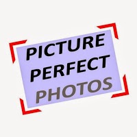Picture Perfect Photos Studio 1096864 Image 0